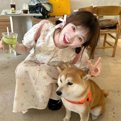 阁楼里的花